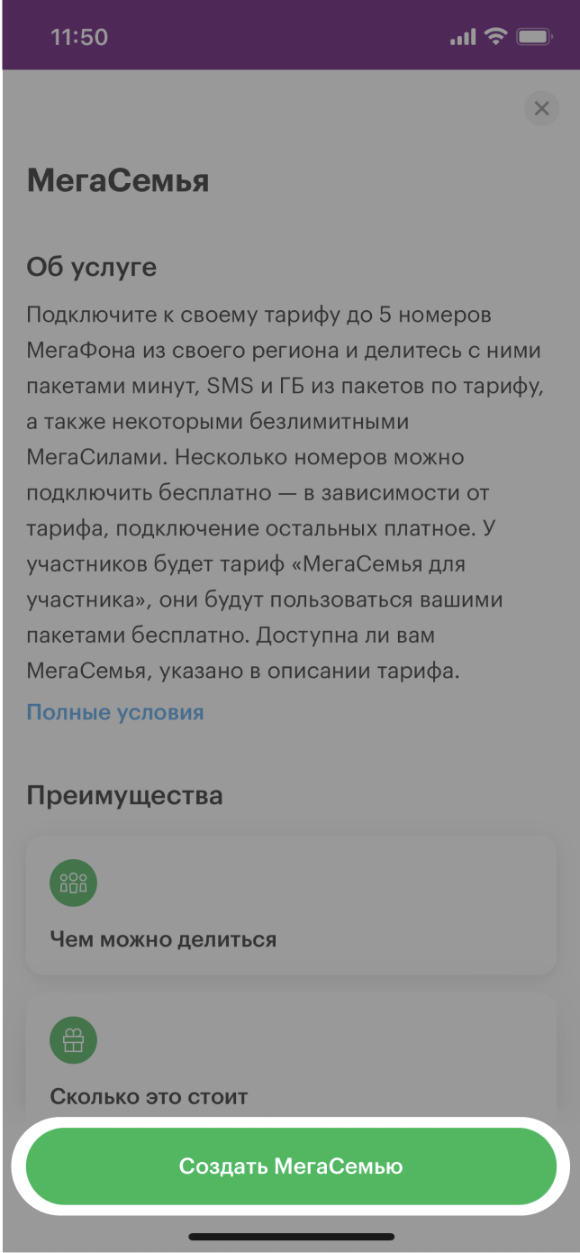 МегаСемья услуга от МегаФона: описание, условия подключения Челябинская  область